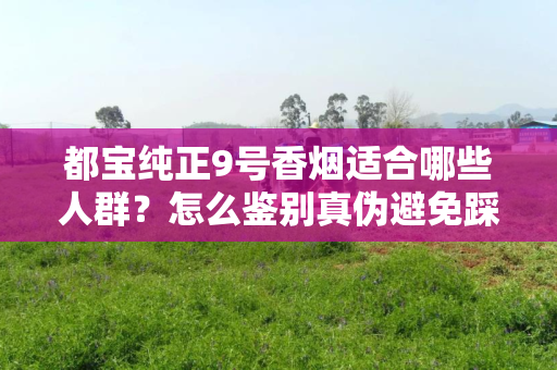 都宝纯正9号香烟适合哪些人群？怎么鉴别真伪避免踩坑？